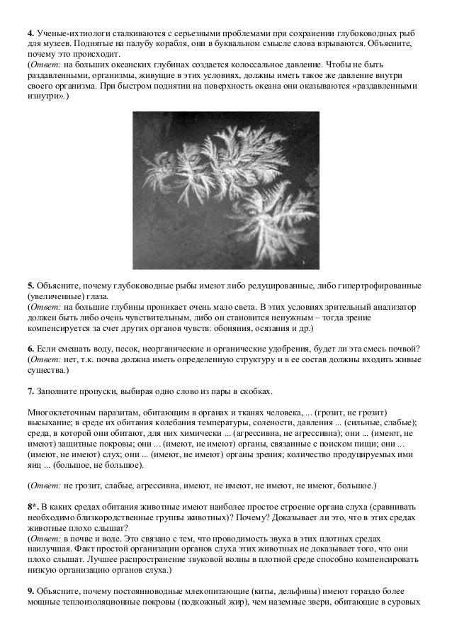 Муж не ночует дома что делать Муж не ночует дома что делать